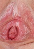 Elena Koshka in amateur, Elena Koshka (ele041) ATK Galleria: Elena Koshka (Elena Koshka in amateur)