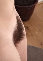 Hairy Elly spreads her bush, Elly Tripp (ell029) ATK Archives: Elly Tripp (Hairy Elly spreads her bush)