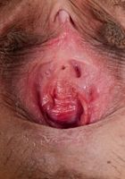 Elle Voneva in exotic and hairy, Elle Voneva (ell038) ATK Natural & Hairy: Elle Voneva (Elle Voneva in exotic and hairy)