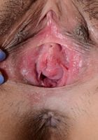 Elle Voneva in exotic and hairy, Elle Voneva (ell038) ATK Natural & Hairy: Elle Voneva (Elle Voneva in exotic and hairy)