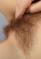 Ellie in young and hairy, Ellie (ell042) ATK Natural & Hairy: Ellie (Ellie in young and hairy)