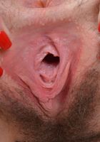 Emma gapes her tight money maker., Emma Evins (emm030) ATK Natural & Hairy: Emma Evins (Emma gapes her tight money maker.)