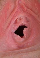 Emma, spreading and gaping., Emma Evins (emm030) ATK Natural & Hairy: Emma Evins (Emma, spreading and gaping.)