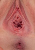 Emma Starletto in amateur, Emma Starletto (emm035) ATK Premium: Emma Starletto (Emma Starletto in amateur)