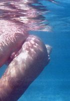 Eszter in nudism, Eszter (esz003) ATK Archives: Eszter (Eszter in nudism)