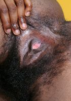 Felicia in black women, Felicia (fel010) ATK Exotics: Felicia (Felicia in black women)