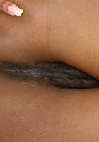 Felicia shows that hot bush, Felicia (fel015) ATK Exotics: Felicia (Felicia shows that hot bush)