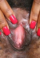 Felicia in black women, Felicia (fel015) ATK Exotics: Felicia (Felicia in black women)