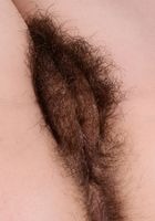 Felix Weatherwood in mature and hairy, Felix Weatherwood (fel017) ATK Natural & Hairy: Felix Weatherwood (Felix Weatherwood in mature and hairy)