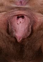 Felicia Fisher in scary hairy, Felicia Fisher (fel024) ATK Natural & Hairy: Felicia Fisher (Felicia Fisher in scary hairy)