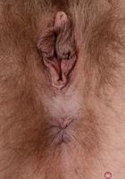Felicia Fisher in young and hairy, Felicia Fisher (fel024) ATK Natural & Hairy: Felicia Fisher (Felicia Fisher in young and hairy)