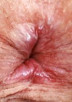 Felicia enjoys playing with her pubic hair, Felicia Fisher (fel024) ATK Natural & Hairy: Felicia Fisher (Felicia enjoys playing with her pubic hair)