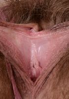 Felicia Fisher in scary hairy, Felicia Fisher (fel024) ATK Natural & Hairy: Felicia Fisher (Felicia Fisher in scary hairy)