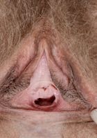 Felicia Fisher in scary hairy, Felicia Fisher (fel024) ATK Natural & Hairy: Felicia Fisher (Felicia Fisher in scary hairy)