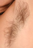 Sexy coed Flower teases with her hairy body and spreads her pussy, Flower (flo007) ATK Archives: Flower (Sexy coed Flower teases with her hairy body and spreads her pussy)