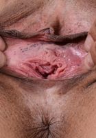 Gia Vendetti pulls on her labia as she peels out of her shorts., Gia Vendetti (gia024) ATK Exotics: Gia Vendetti (Gia Vendetti pulls on her labia as she peels out of her shorts.)