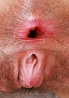 Gigi Hairy Pussy Spreading Ass Gaping, Gigi (gig009) ATK Natural & Hairy: Gigi (Gigi Hairy Pussy Spreading Ass Gaping)