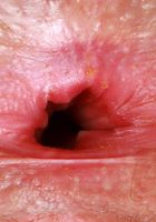 Gigi Hairy Pussy Spreading Ass Gaping, Gigi (gig009) ATK Natural & Hairy: Gigi (Gigi Hairy Pussy Spreading Ass Gaping)