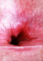 Gigi Luscious Spreading, Gigi (gig009) ATK Natural & Hairy: Gigi (Gigi Luscious Spreading)