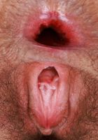 Gigi Outside Gaping Ass, Gigi (gig009) ATK Natural & Hairy: Gigi (Gigi Outside Gaping Ass)