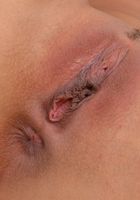 Gina Valentine's soft body, Gina Valentina (gin058) ATK Exotics: Gina Valentina (Gina Valentine's soft body)