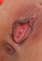 Gina Valentine's soft body, Gina Valentina (gin058) ATK Petites: Gina Valentina (Gina Valentine's soft body)