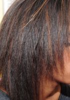 Gypsy in behind the scenes, Gypsy (gyp002) ATK Exotics: Gypsy (Gypsy in behind the scenes)