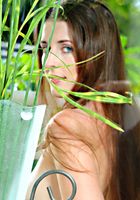 Haley in artistic, Haley (hal006) ATK Premium: Haley (Haley in artistic)