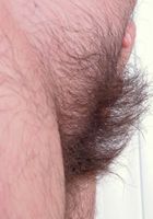 Haley spreads her hot hairy man pleaser, Harley Hex (har015) ATK Natural & Hairy: Harley Hex (Haley spreads her hot hairy man pleaser)