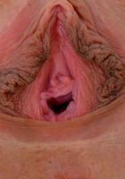 Harley waves her meaty shaved pussy around, Harley Jameson (har020) ATK Galleria: Harley Jameson (Harley waves her meaty shaved pussy around)