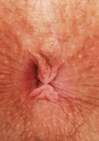 Harper Madi Outdoor Lingerie, Harper Madi (har022) ATK Petites: Harper Madi (Harper Madi Outdoor Lingerie)