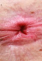 Harmony Rivers Ass Gaping, Harmony Rivers (har024) ATK Petites: Harmony Rivers (Harmony Rivers Ass Gaping)