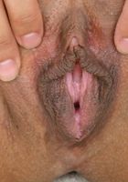 Hazel in latinas, Hazel (haz006) ATK Exotics: Hazel (Hazel in latinas)