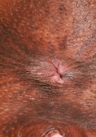 Hazel Grace Ebony Pussy Gaping, Hazel Grace (haz015) ATK Exotics: Hazel Grace (Hazel Grace Ebony Pussy Gaping)