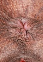 Hazel Grace Outdoor Nudity, Hazel Grace (haz015) ATK Exotics: Hazel Grace (Hazel Grace Outdoor Nudity)