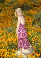 Heidi Hanson from ATK Archives