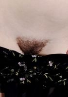 Honey in young and hairy, Honey (hon012) ATK Natural & Hairy: Honey (Honey in young and hairy)