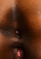 Amber Cream is hot in the nude, Amber Cream (hon017) ATK Exotics: Amber Cream (Amber Cream is hot in the nude)