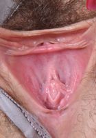 Hope gapes her tight pink hairy hole., Hope Howell (hop004) ATK Natural & Hairy: Hope Howell (Hope gapes her tight pink hairy hole.)
