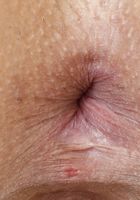 Isabella Nice in latinas, Isabella Nice (isa041) ATK Exotics: Isabella Nice (Isabella Nice in latinas)