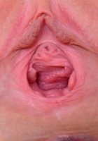 Ivy goes ass in the air for hot pink gapes, Ivy Aura (ivy018) ATK Galleria: Ivy Aura (Ivy goes ass in the air for hot pink gapes)