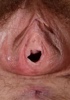 Ivy Addams in young and hairy, Ivy Addams (ivy021) ATK Natural & Hairy: Ivy Addams (Ivy Addams in young and hairy)