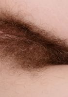 Ivy Addams in young and hairy, Ivy Addams (ivy021) ATK Natural & Hairy: Ivy Addams (Ivy Addams in young and hairy)