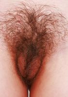 Jackie Hoff Spreads her Gaping Hole, Jackie Hoff (jac041) ATK Natural & Hairy: Jackie Hoff (Jackie Hoff Spreads her Gaping Hole)