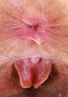 Jackie Hoff Sexy Upskirt & Stripping, Jackie Hoff (jac041) ATK Natural & Hairy: Jackie Hoff (Jackie Hoff Sexy Upskirt & Stripping)