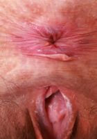 Jackie Hoff Lingerie Stripping, Jackie Hoff (jac041) ATK Natural & Hairy: Jackie Hoff (Jackie Hoff Lingerie Stripping)