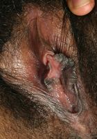 Jada loves to show off her sexy firm ass and wet hairy pussy, Jada (jad016) ATK Exotics: Jada (Jada loves to show off her sexy firm ass and wet hairy pussy)