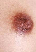 Jade Kimiko Upskirt Tease & Spreading, Jade Kimiko (jad050) ATK Petites: Jade Kimiko (Jade Kimiko Upskirt Tease & Spreading)