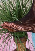 Jaida in footfetish, Jaida (jai002) ATK Exotics: Jaida (Jaida in footfetish)