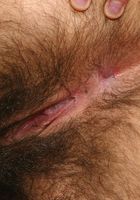 Hairy babe Janelle strips and spreads her thick hairy ass, Janelle (jan064) ATK Archives: Janelle (Hairy babe Janelle strips and spreads her thick hairy ass)